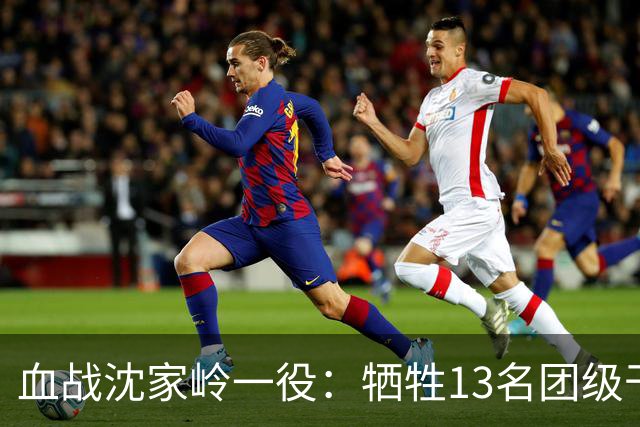 血战沈家岭一役：牺牲13名团级干部，8700余名战士倒在新中国建立前夜